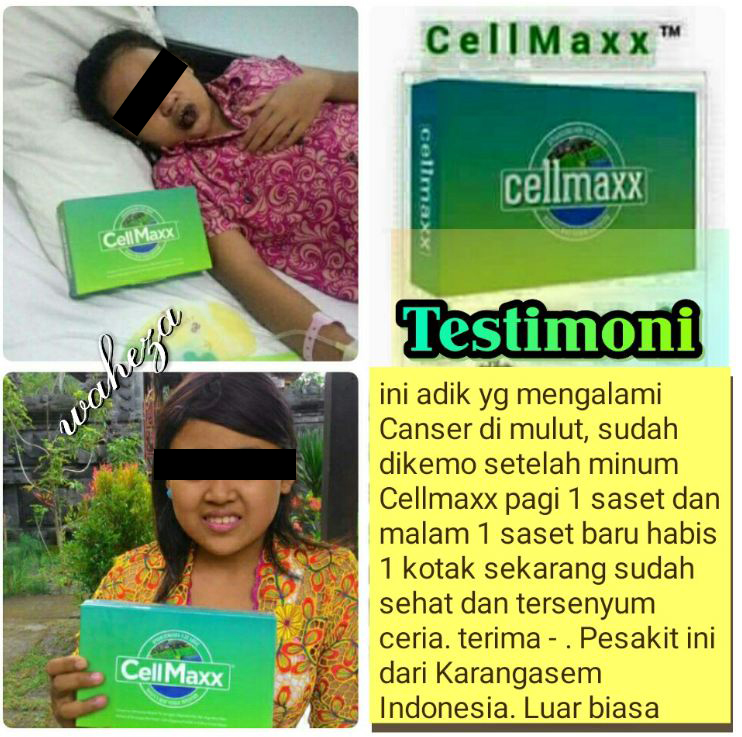 cellmaxx